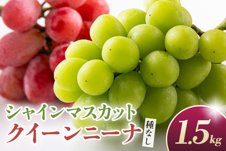 [2026年先行予約]シャインマスカットとクイーンニーナ(種なし)1.5kg(2〜3房) 葡萄 ブドウ フルーツ 果物 くだもの 産地直送 茨城県 石岡市