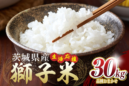 �y12������z���������I ���q�� 30kg ���� ���� �� ���܂��� �����Ђ��� �ɂ��̂���߂� ���������܂� ���� ���͂� �Y�n���� ���Y ��錧 �Ή��s B02-089