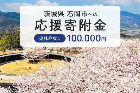 【応援寄附】茨城県石岡市　返礼品なしのご寄附　100.000円 茨城県 石岡市 G19-005