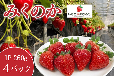 いちご [みくのか] 4p イチゴ 苺 フルーツ 果物 くだもの 旬 産地直送 茨城県 石岡市