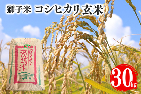 先行予約[令和8年産]獅子米 コシヒカリ(玄米)30kg