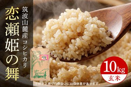 【玄米10kg】筑波山麓厳選米【特A】令和7年産コシヒカリ（恋瀬姫の舞） B07-021