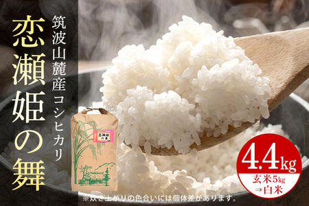 [玄米5kg⇒白米]筑波山麓厳選米[特A]令和7年産コシヒカリ(恋瀬姫の舞)