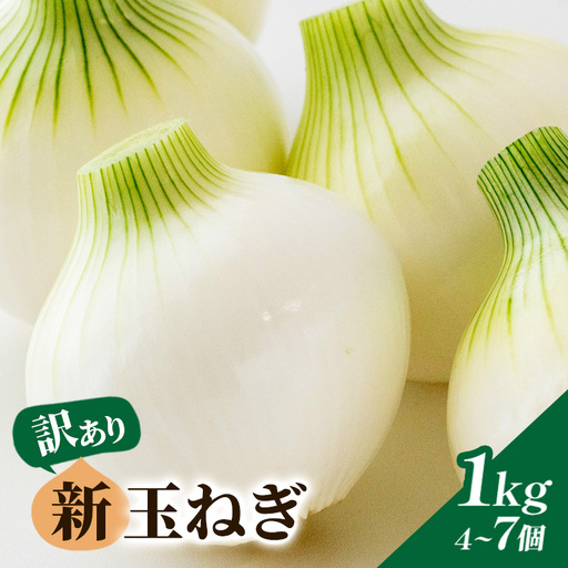 【訳あり】新玉ねぎ 1kg 4～7個 B03-009