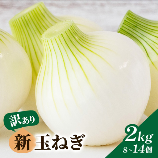 【訳あり】新玉ねぎ 2kg 8個～14個（1kg×2袋） B03-010