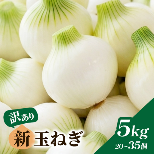 【訳あり】新玉ねぎ 5kg 20個～35個（1kg×5袋） B03-011