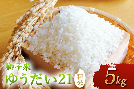 【令和8年産】獅子米　ゆうだい21（精米）5kg B02-103
