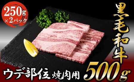 黒毛和牛 焼肉用 500g (250g×2パック) 国産 お肉 和牛 牛 精肉 食品