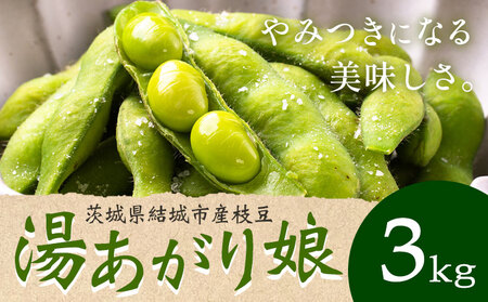 枝豆 湯あがり娘 3kg 大嶋農園 [7月中旬-8月上旬頃出荷] 枝豆枝豆枝豆[配送不可地域あり]