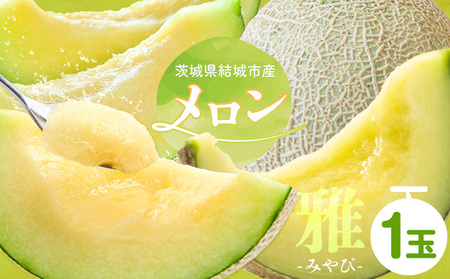[令和7年先行予約] 茨城県結城市産 メロン 雅 1玉 稲葉ファーム[9月下旬-10月中旬頃出荷予定]茨城県 結城市 送料無料 フルーツ 果物 高級メロン お取り寄せ 旬 産地直送 贈り物 お取り寄せフルーツ
