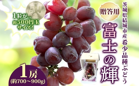 [ふるなび限定]贈答用 富士の輝 1房 約700〜900g 葡萄 ブドウ ぶどう 大粒 種なし ブラック シャインマスカット 皮ごと フルーツ 果物 産地直送 新鮮 お取り寄せ ギフト 国産 季節限定 ≪お届け時期2025年9月上旬〜9月下旬≫FN-Limited