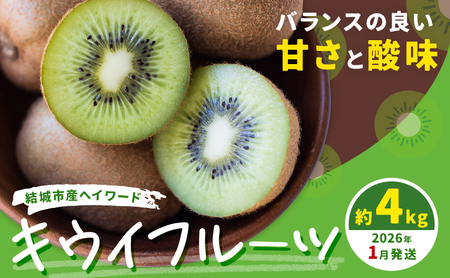 キウイフルーツ4kg[2026年1月上旬-1月末頃出荷]キウイキウイキウイキウイ