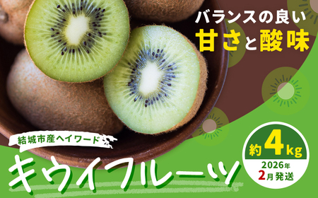 キウイフルーツ4kg[2026年2月上旬-2月中旬頃出荷] キウイキウイキウイ