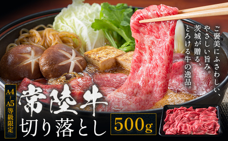 常陸牛切り落とし500g[30日以内に出荷予定(土日祝除く) ][配送不可地域あり]常陸牛ブランド牛肉茨城県