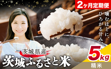   ӂ邳ƕ  5kg 5kg×1 2񂨓͂ ցs\݌̗o׊Jnt錧 s  Y   ٓ ɂy錧ʕԗiz