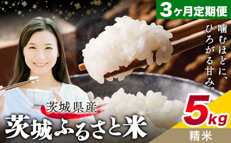   ӂ邳ƕ  5kg 5kg×1 3񂨓͂ ցs\݌̗o׊Jnt錧 s  Y   ٓ ɂy錧ʕԗiz