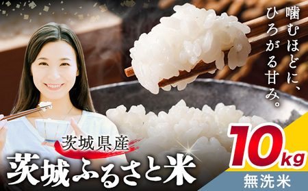 米 茨城県産 無洗米 10kg おこめ おにぎり[茨城県共通返礼品]