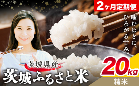 20kg2񂨓͂ցsXo׊Jnty錧ʕԗiz