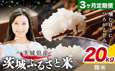20kg3񂨓͂ցsXo׊Jnty錧ʕԗiz