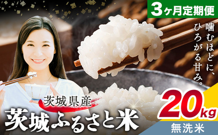 20kg3񂨓͂ցsXo׊Jnty錧ʕԗiz