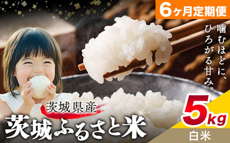   ӂ邳ƕ  5kg 5kg×1 6񂨓͂ ցs\݌̗Xo׊Jnt錧 s  Y   ٓ ɂy錧ʕԗiz