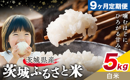   ӂ邳ƕ  5kg 5kg×1 9񂨓͂ ցs\݌̗Xo׊Jnt錧 s  Y   ٓ ɂy錧ʕԗiz