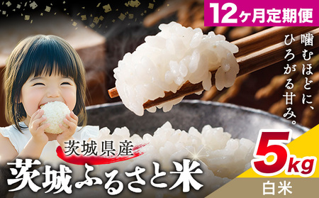 米白米5kg12回お届け定期便《翌月から出荷開始》