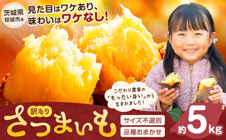 茨城県産 さつまいも こだわり農家の訳ありさつまいも 茨城県結城市産 サイズ不選別 品種おまかせ 約5kg [1月上旬-3月上旬頃出荷]茨城県 結城市 ご家庭用 お芋 訳あり 紅はるか シルクスイート あまはずき 栗かぐや 品種 お任せ いも 芋