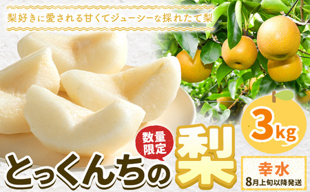 [2026年先行予約]とっくんちの梨 幸水 約3kg 鈴木農園[8月上旬-8月下旬頃出荷]茨城県 結城市 数量限定 果物 フルーツ 甘み ジューシー 豊か 芳香 しゃりっ 爽やかな 季節[配送不可地域あり](離島)