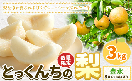 [2026年先行予約]とっくんちの梨 豊水 約3kg 鈴木農園[8月下旬-9月中旬頃出荷]茨城県 結城市 数量限定 果物 フルーツ 甘み ジューシー 豊か 芳香 しゃりっ 爽やかな 季節[配送不可地域あり](離島)