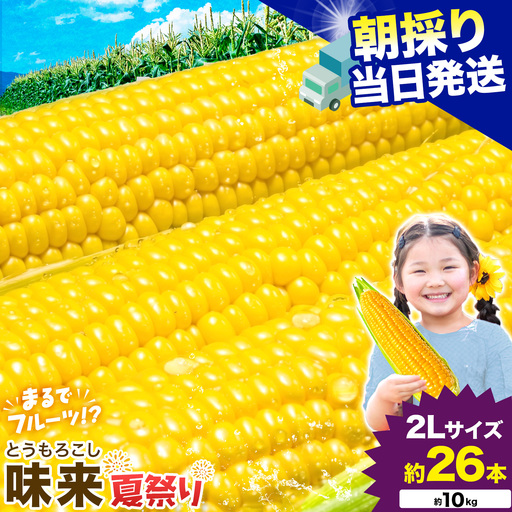 とうもろこし味来 夏祭り 約10kg 野菜 トウモロコシ