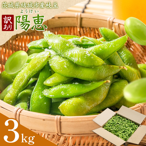 枝豆 えだまめ 訳あり陽恵(茶豆味)3kg[配送不可地域あり](離島)枝豆