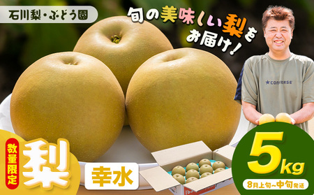幸水梨5kg石川梨・ぶどう園[8月上旬-8月中旬頃出荷]梨梨梨[配送不可地域あり](離島)