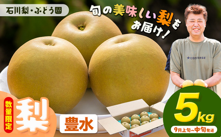 豊水梨5kg石川梨・ぶどう園[9月上旬-9月中旬頃出荷]梨梨梨[配送不可地域あり](離島)