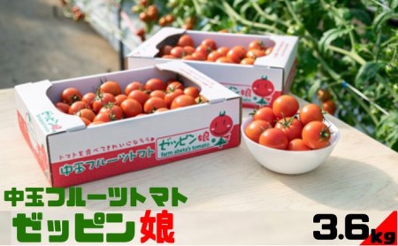 中玉フルーツトマト「ゼッピン娘」1.8kg×2箱(計3.6kg) 希少な品種 華おとめ 甘い