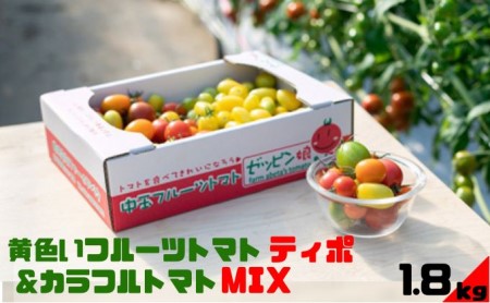 黄色いフルーツトマト「ティポ」&カラフルトマトMIX 計1.8kg(1箱) ジャム さっぱり 黄色いトマト カラフル 詰め合わせ 食べくらべ 個性豊か