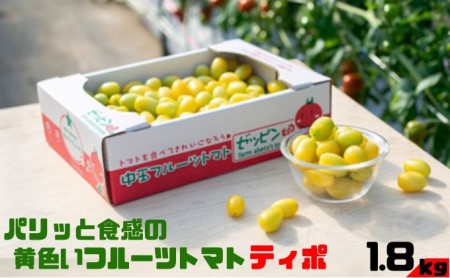 パリッと食感の黄色いフルーツトマト「ティポ」1.8kg(1箱)ジャム さっぱり 黄色い トマト