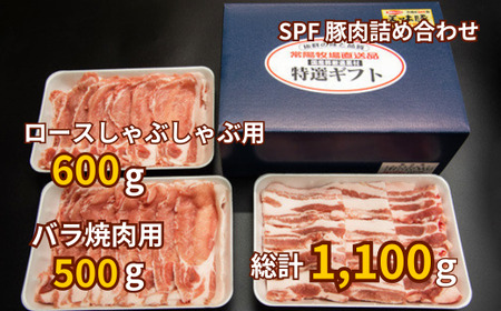 常陽牧場SPF豚肉詰め合わせ(豚ロースしゃぶしゃぶ用 300g×2パック、豚バラ焼肉用 500g×1パック)[配送不可地域:離島][豚肉 肉 にく 豚肉 ミート しゃぶしゃぶ 豚肉 焼肉 国内認定農場 豚肉 ブランド豚 人気 ギフト 豚肉 贈答 プレゼント 食べ比べ 豚肉 詰め合せ セット 豚肉 国産 豚肉 小分け]