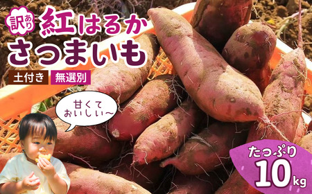 【訳あり】無選別+土付きのさつまいも(紅はるか)10kg | 茨城県 龍ケ崎 サツマイモ 国産 おすすめ 人気 根野菜 べにはるか 紅はるか ホクホク 天ぷら 大学芋 お菓子作り 煮物 焼き芋 特産品 農家 産地直送 旬 訳あり 無選別 いも 芋 土付き 泥付き つち付き