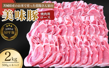 茨城県産のお米を食べて育った常陽さん家の美味豚(SPF豚)ロース 焼肉用 2kg | 豚肉 ロース 豚ロース 約2kg お肉 柔らかい 美味しい スライス お鍋 焼肉 料理 冷凍 茨城県 龍ケ崎市