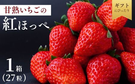 [1月下旬発送]甘熟いちごの紅ほっぺ 1箱 (27粒) 