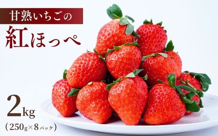 y1zÏn gق 2kg (250g×8pbN) |   t[c ʕ 錧 Ps