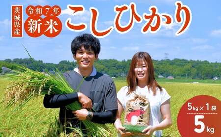 令和7年産新米 こだわりのコシヒカリ 10kg | コシヒカリ 精米 茨城県 龍ケ崎市