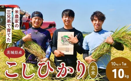 令和7年産新米 玄米 こだわりのコシヒカリ 10kg | コシヒカリ 茨城県 龍ケ崎市