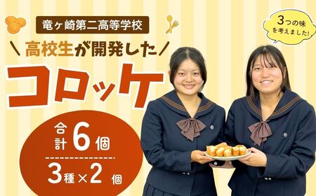 [竜ヶ崎第二高等学校の生徒考案]龍ケ崎はんぺんコロッケ 3種セット | はんぺん コロッケ 茨城県 龍ケ崎市