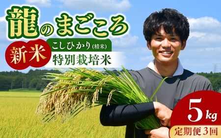 ��3��������ց��y�ߘa7�N�x�V�āz���P��̓��ʍ͔|�� �R�V�q�J�� 5kg ? �����Ђ��� ���� �� ���� ���� ���� �V�� ��߂Ă��������� �������� ������� ���΂炫�݂ǂ�F�� ���ɂ��� ��錧