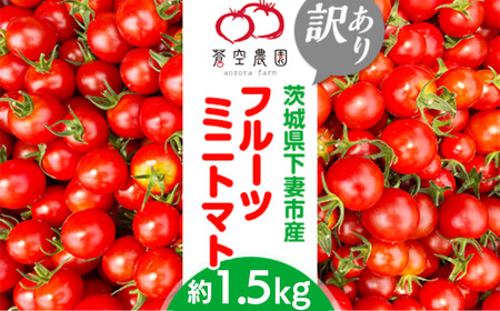 [訳あり]フルーツミニトマト1.5kg[フードロス対策][トマト フルーツミニトマト 詰め合わせ ミニトマト 甘い 野菜]