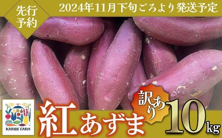 [先行予約][訳あり]茨城県産さつまいも 「紅あずま」 10kg[2024年11月下旬ごろ順次発送][さつまいも 紅あずま 甘い ほくほく サツマイモ 焼き芋 芋 大容量 茨城県産 焼き芋 スイートポテト レシピ]