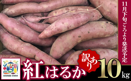 [先行予約][訳あり]茨城県産 さつまいも 「紅はるか」 10kg[2024年11月下旬ごろ順次発送][さつまいも 紅はるか 甘い ねっとり サツマイモ 焼き芋 芋 大容量 茨城県産 焼き芋 スイートポテト レシピ]