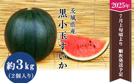 【先行予約】茨城県産黒小玉すいか 3kg（2個）【2025年7月上旬～7月下旬ごろ発送予定】【スイカ すいか 小玉すいか 小玉スイカ 黒玉スイカ 黒小玉すいか 果物 フルーツ スイカ割り】